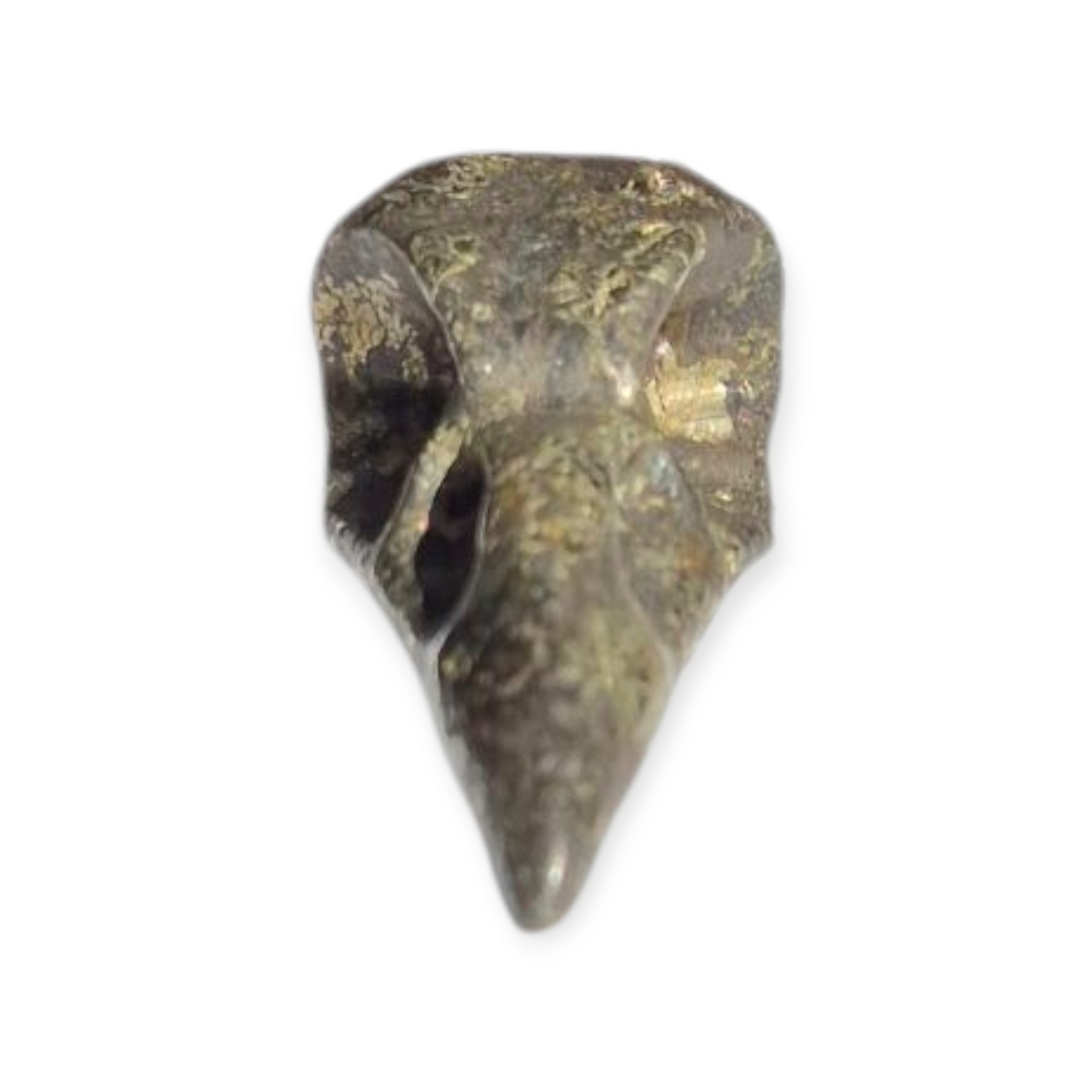 Crystals - Pyrite Raven Skull