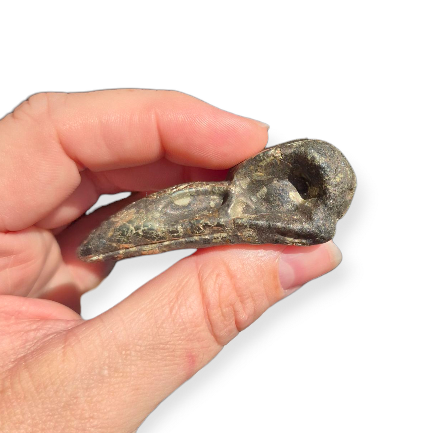 Crystals - Pyrite Raven Skull