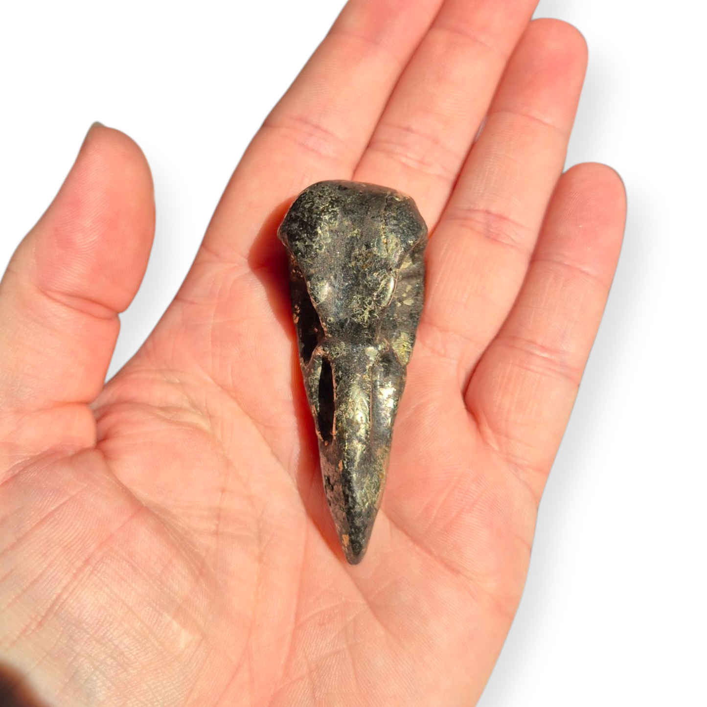Crystals - Pyrite Raven Skull