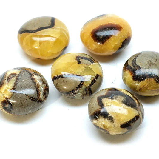 Crystals - Septarian Tumbled Stones