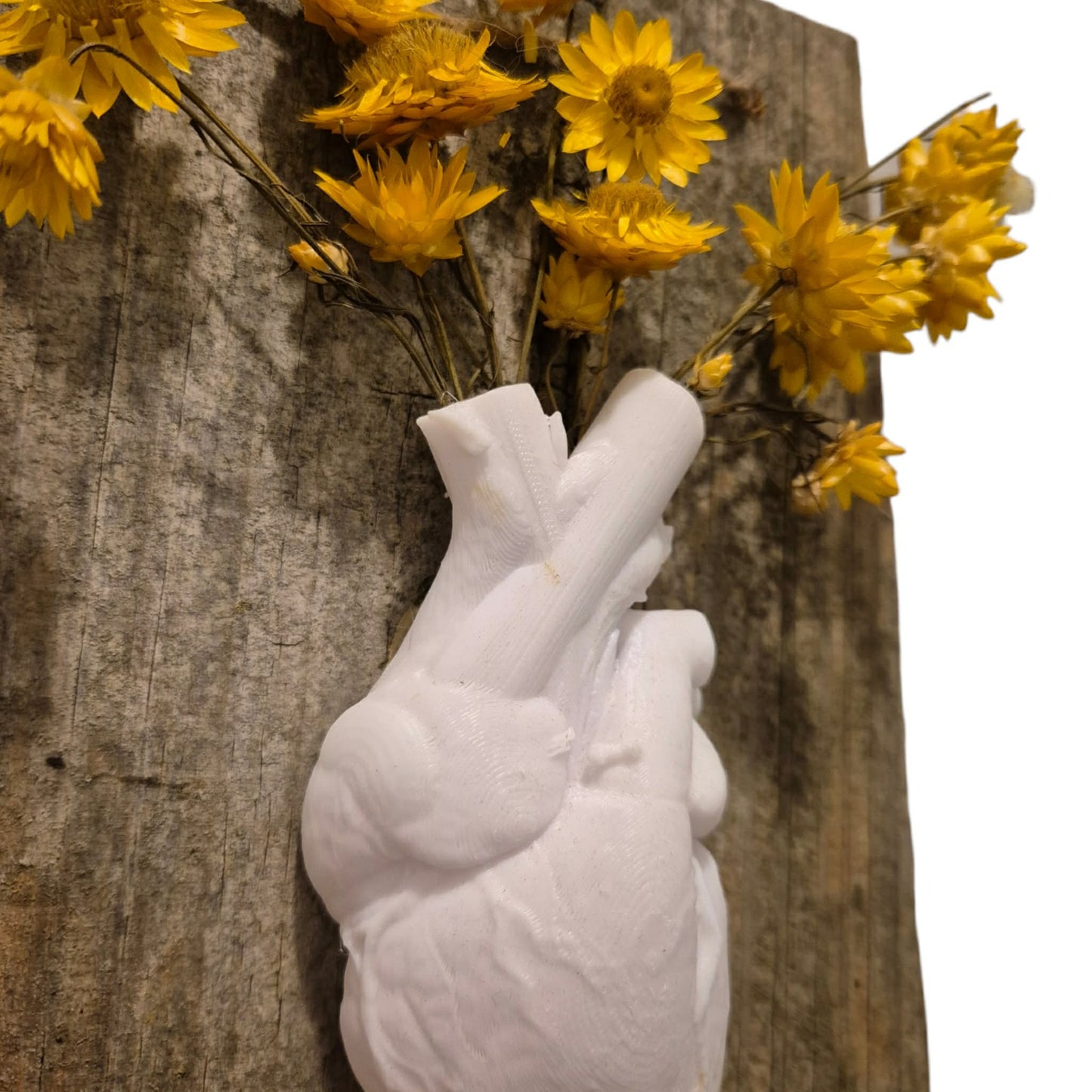 Anatomical Heart Vase