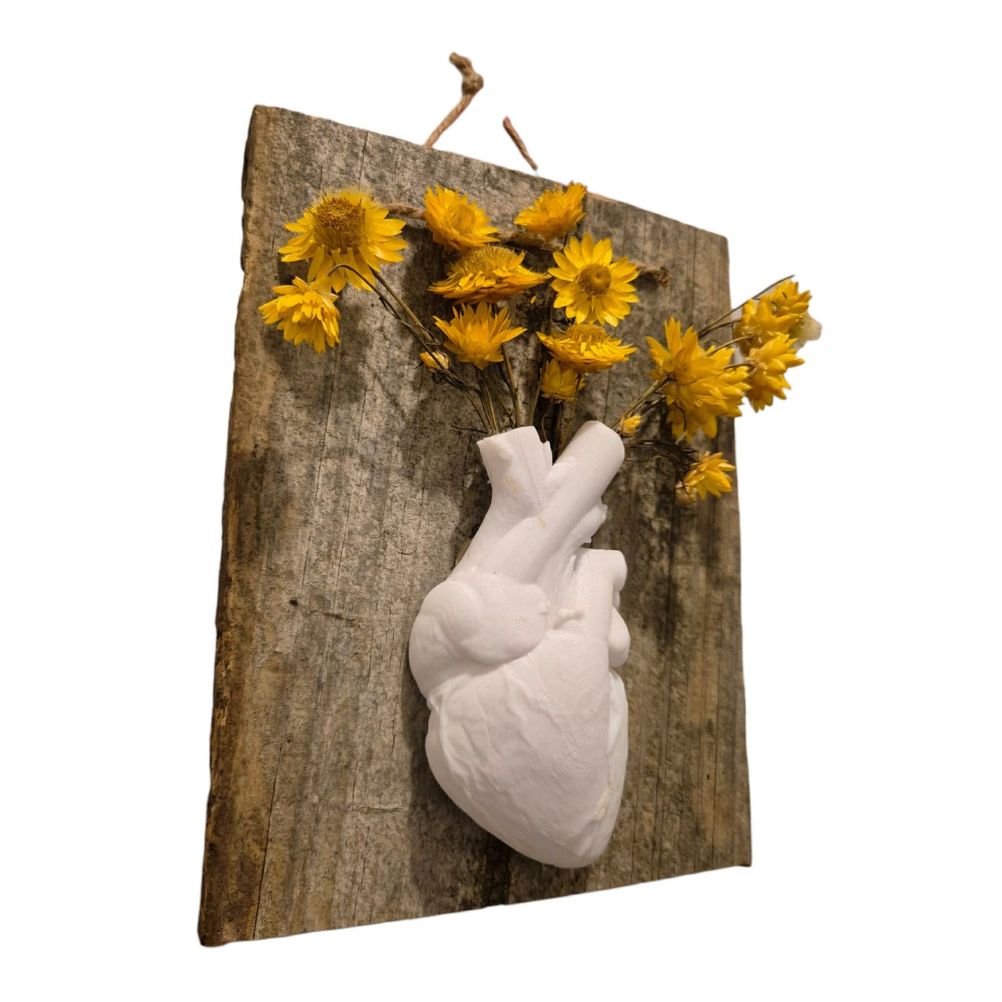 Anatomical Heart Vase