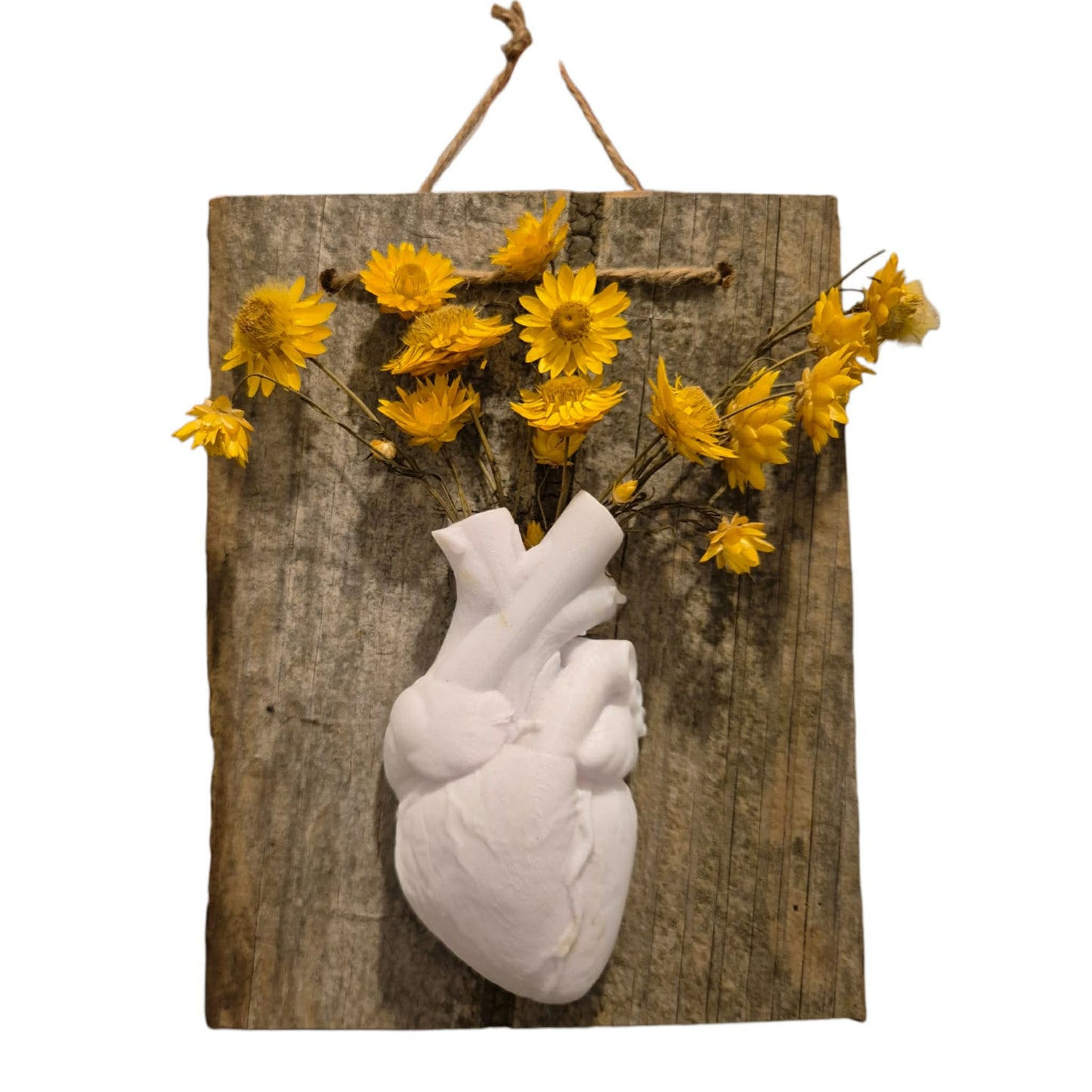 Anatomical Heart Vase