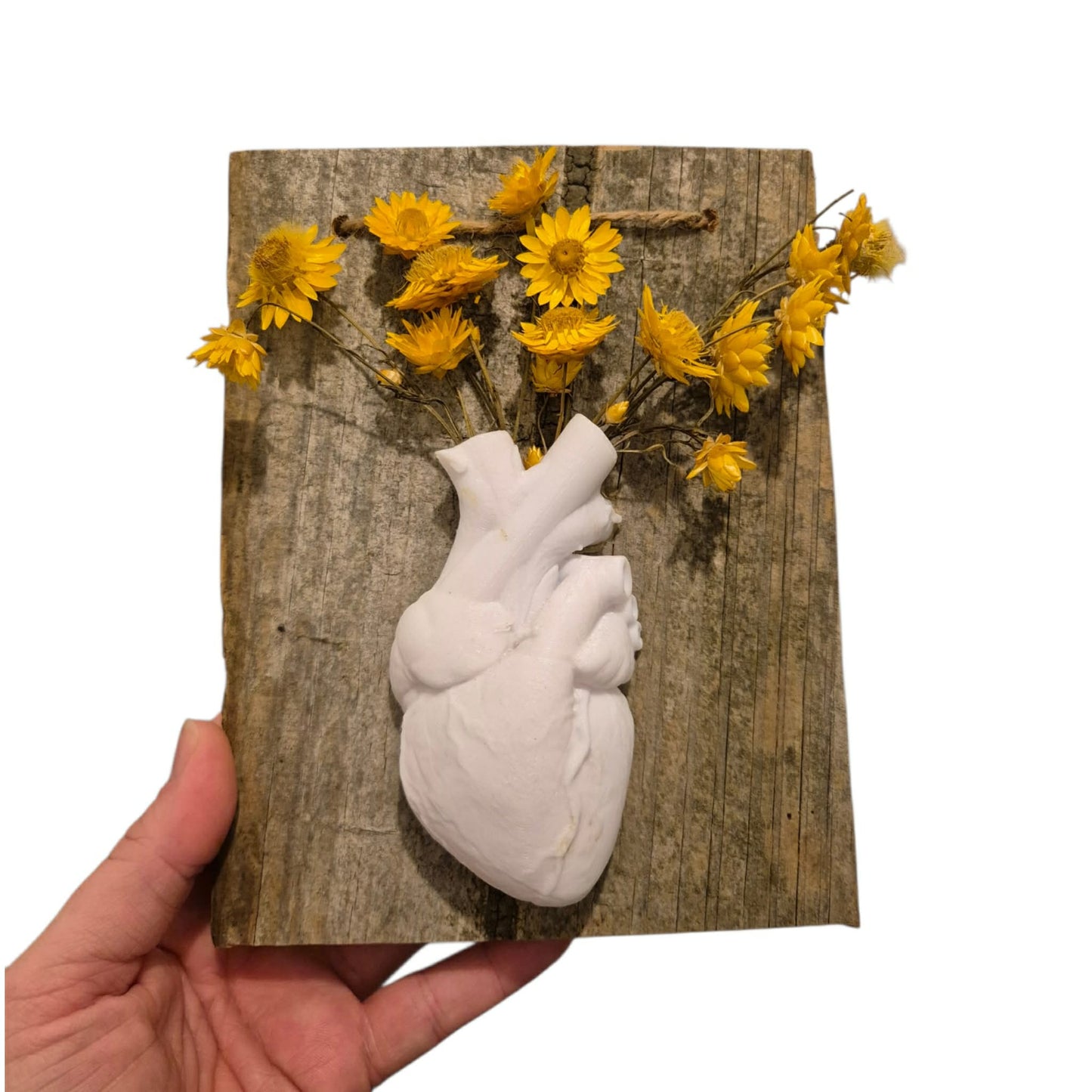 Anatomical Heart Vase