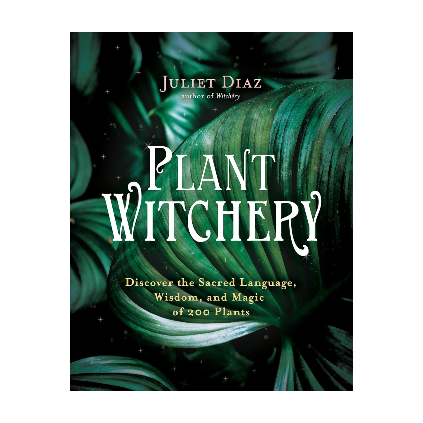 Plant Witchery