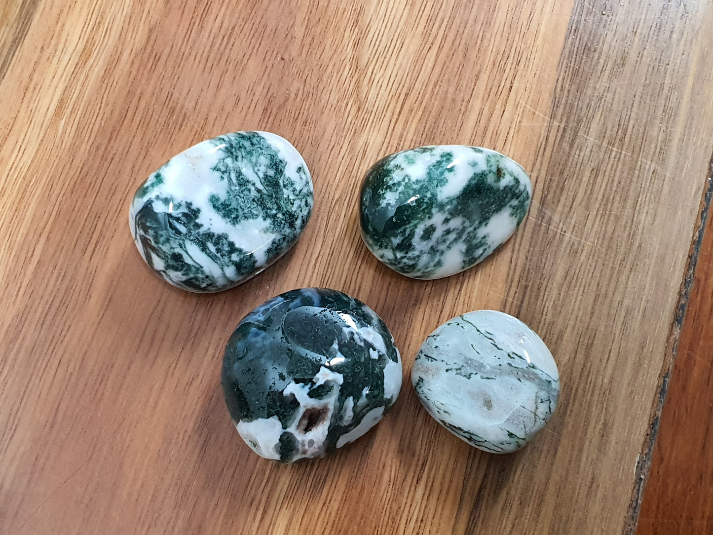 Crystals - Tree Agate Tumbled Stone