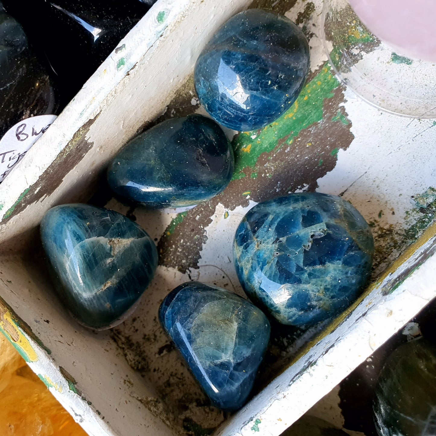Crystals - Apatite (Blue) Tumbled Stone