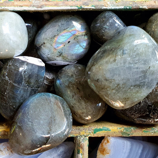 Crystals - Labradorite Tumbled Stone