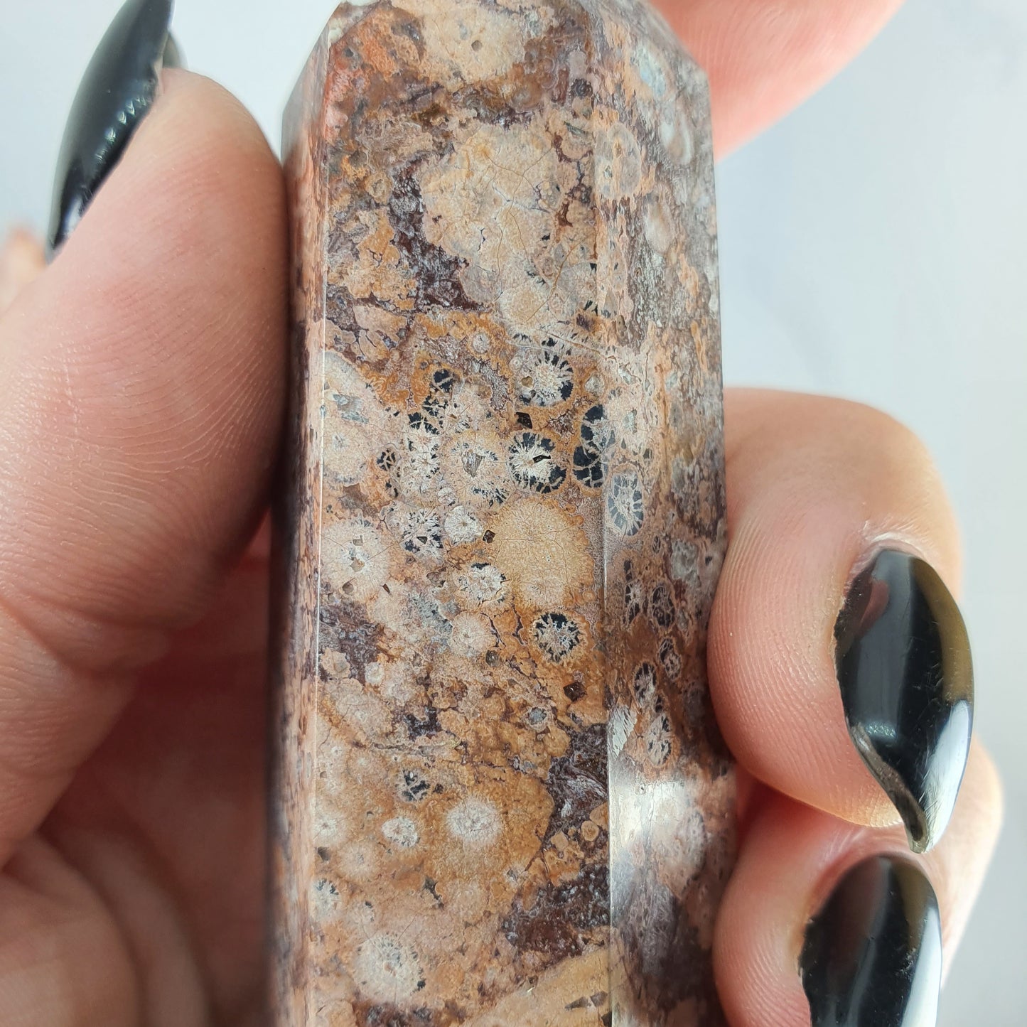 Crystals - Jasper (Leopard Skin) Generator/Point