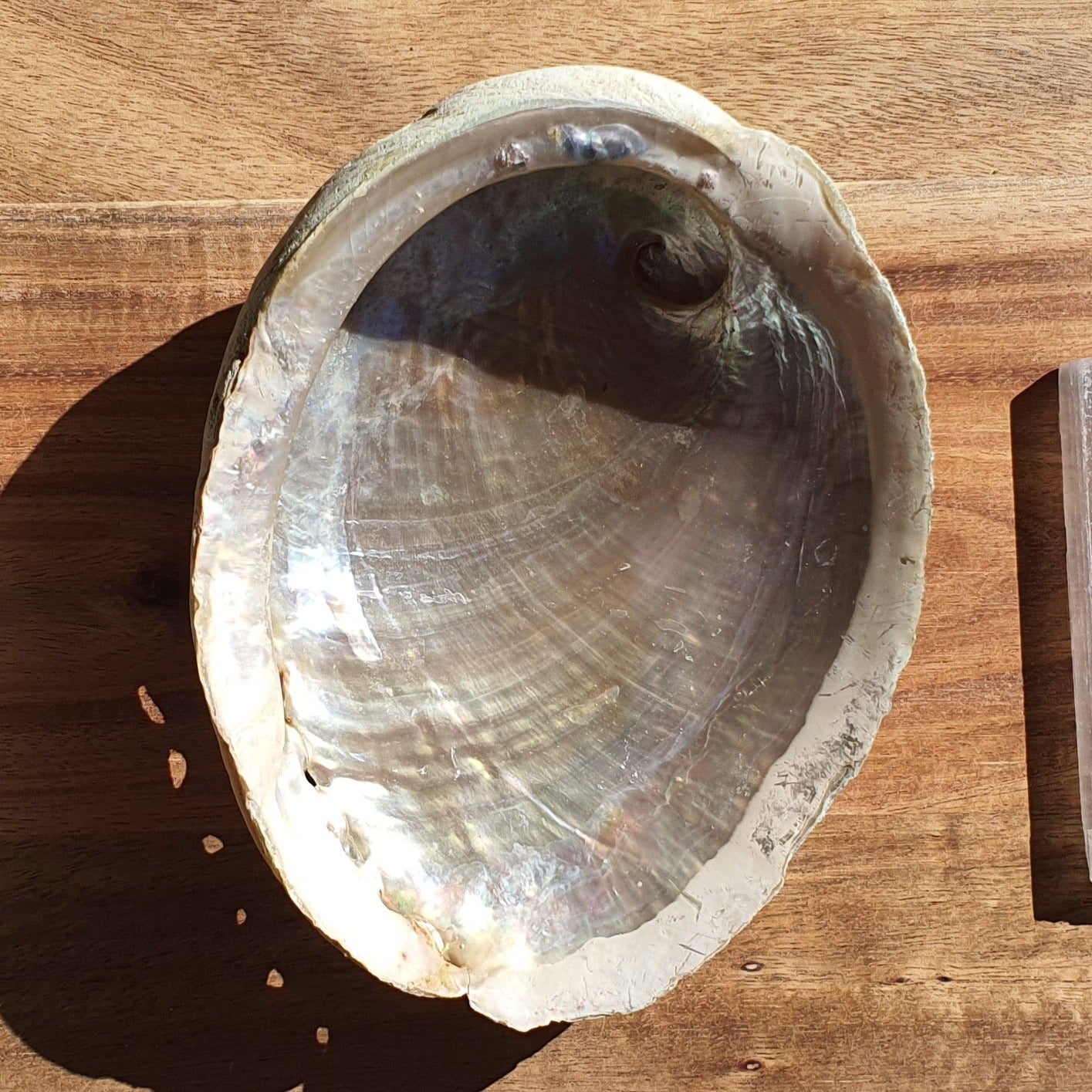 Sacred Smudging Abalone Shell