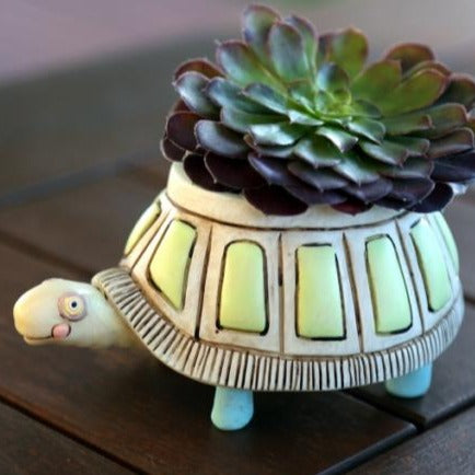 Allen Designs - BABY Myrtle Turtle Planter