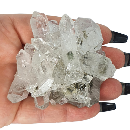 Crystals - Clear Quartz Cluster with Chlorite