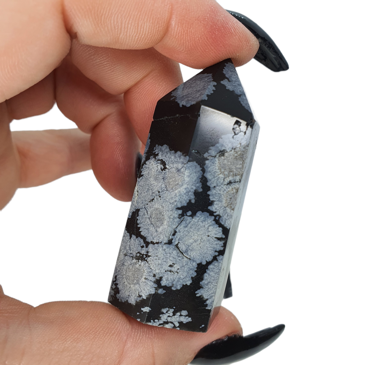 Crystals - Obsidian (Snowflake - High White) Generators/Points