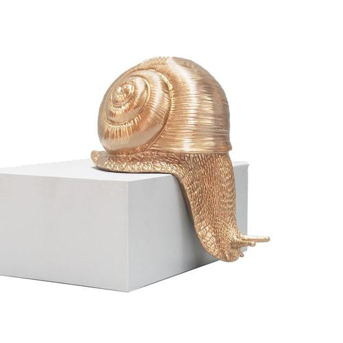 Crawling Snail - Gold ** PRE ORDER